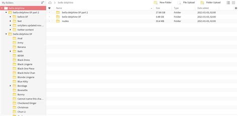 pastelink mega folder